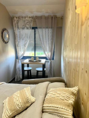Appart Hotel cozy proche centre, parking